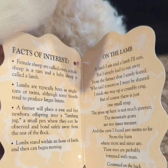 Folkmanis 3129 Small Lamb Hand Puppet, One Size, Multicolor - Picture 4 of 4